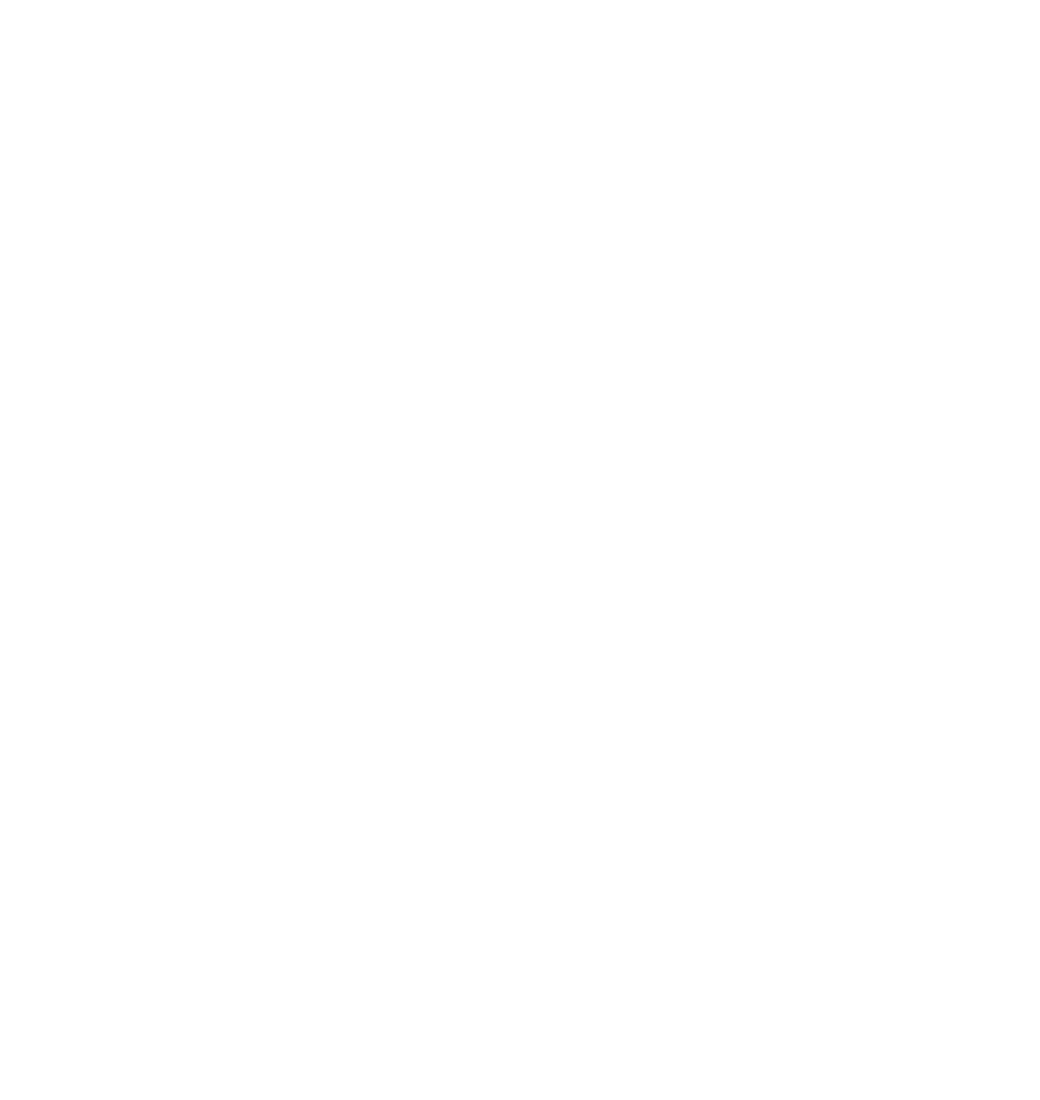 Visuel logo blanc
